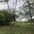  Land for sale in Cali, Valle Del Cauca, Cali