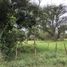  Land for sale in Cali, Valle Del Cauca, Cali