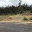  Land for sale in Loja, Loja, Loja, Loja