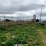  Land for sale in Ajacuba, Hidalgo, Ajacuba