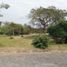  Land for sale in Nueva Gorgona, Chame, Nueva Gorgona