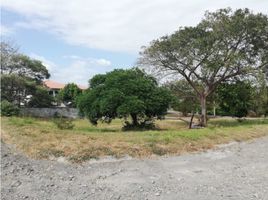  Grundstück zu verkaufen in Chame, Panama Oeste, Nueva Gorgona