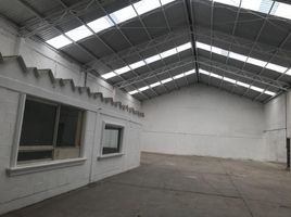 429 m² Office for rent in Coahuila, Torreon, Coahuila
