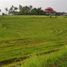  Land for sale in Selemadeg, Tabanan, Selemadeg