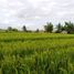  Land for sale in Selemadeg, Tabanan, Selemadeg