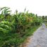  Land for sale in Selemadeg, Tabanan, Selemadeg