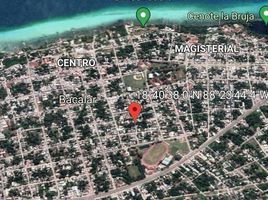  Grundstück zu verkaufen in Othon P Blanco, Quintana Roo, Othon P Blanco