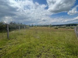  Land for sale in Villa De Leyva, Boyaca, Villa De Leyva