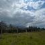  Land for sale in Villa De Leyva, Boyaca, Villa De Leyva