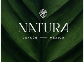  Grundstück zu verkaufen in Cancun, Quintana Roo, Cancun