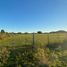  Villa for sale in Chui, Rio Grande do Sul, Chui, Chui