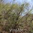  Land for sale in Dist Tehuantepec, Oaxaca, Dist Tehuantepec