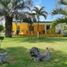 2 Schlafzimmer Haus zu verkaufen in Uman, Yucatan, Uman