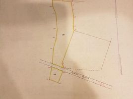  Tanah for sale in Tandes, East Jawa, Tandes