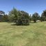 Land for sale in Medellin Antioquia, Medellin