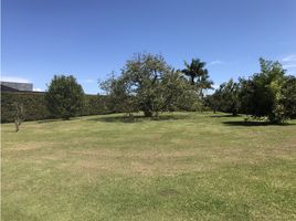  Land for sale in Medellin Antioquia, Medellin