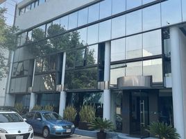 1,492 SqM Office for sale in Mexico City, Miguel Hidalgo, Mexico City