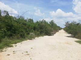Terrain à vendre à Yaxkukul, Yucatan, Yaxkukul
