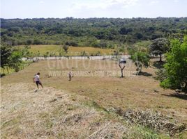  Terreno (Parcela) en venta en Los Llanitos, San Carlos, Los Llanitos