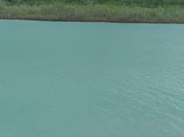 Grundstück zu verkaufen in Othon P Blanco, Quintana Roo, Othon P Blanco