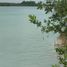  Grundstück zu verkaufen in Othon P Blanco, Quintana Roo, Othon P Blanco
