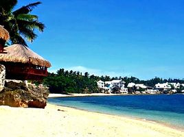  Land for sale in Alcoy, Central Visayas, Alcoy