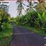  Land for sale in Selemadeg, Tabanan, Selemadeg