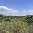 Studio House for sale in Colimes, Guayas, Colimes, Colimes