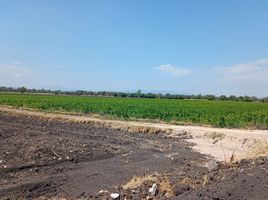  Land for sale in Apaseo El Grande, Guanajuato, Apaseo El Grande