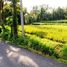  Terrain for sale in Sukawati, Gianyar, Sukawati