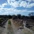  Land for sale in Santa Maria Del Rio, San Luis Potosi, Santa Maria Del Rio