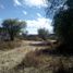  Land for sale in Santa Maria Del Rio, San Luis Potosi, Santa Maria Del Rio