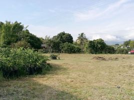  Terreno (Parcela) en venta en Caldas, Risaralda, Caldas