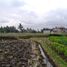  Terrain for sale in Sukawati, Gianyar, Sukawati