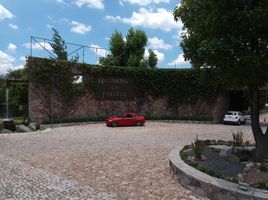  Grundstück zu verkaufen in Allende, Guanajuato, Allende