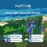  Land for sale in Telchac Puerto, Yucatan, Telchac Puerto