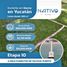  Land for sale in Telchac Puerto, Yucatan, Telchac Puerto