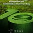  Land for sale in Telchac Puerto, Yucatan, Telchac Puerto