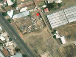  Grundstück zu verkaufen in Jocotepec, Jalisco, Jocotepec
