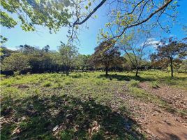 Studio Villa zu verkaufen in Boquete, Chiriqui, Alto Boquete