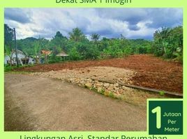  Land for sale in Bantul, Yogyakarta, Pajangan, Bantul