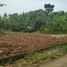  Land for sale in Bantul, Yogyakarta, Pajangan, Bantul