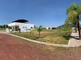  Grundstück zu verkaufen in Tala, Jalisco, Tala