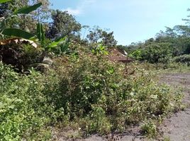  Land for sale in Yogyakarta, Seyegan, Sleman, Yogyakarta