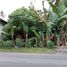  Land for sale in Yogyakarta, Ngaglik, Sleman, Yogyakarta