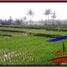  Terrain for sale in Tegallalang, Gianyar, Tegallalang