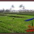  Terrain for sale in Tegallalang, Gianyar, Tegallalang