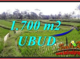  Terrain for sale in Tegallalang, Gianyar, Tegallalang