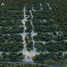  Terreno (Parcela) en venta en Dist Pochutla, Oaxaca, Dist Pochutla