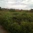  Land for sale in Salinas, Santa Elena, Salinas, Salinas